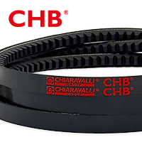 Cinghie CHB
